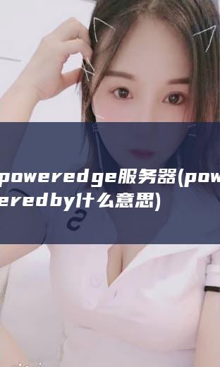 poweredge服务器 (powered by什么意思)